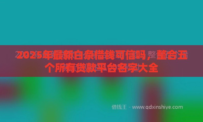 2025年最新白条借钱可信吗，整合五个所有贷款平台名字大全
