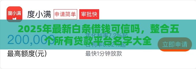 2025年最新白条借钱可信吗，整合五个所有贷款平台名字大全