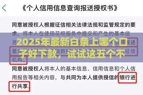 2025年最新白条上哪个口子好下款，试试这五个不查征信大数据的秒下款平台