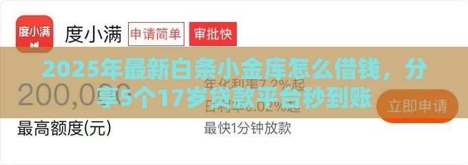 2025年最新白条小金库怎么借钱，分享5个17岁贷款平台秒到账