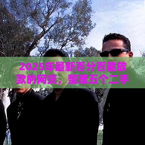 2025年最新百分百能放款的网贷，整理五个二手车贷款平台好