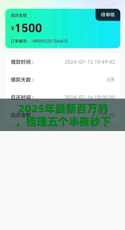 2025年最新百万豹，梳理五个半夜秒下款的高炮口子