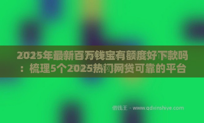 2025年最新百万钱宝有额度好下款吗：梳理5个2025热门网贷可靠的平台