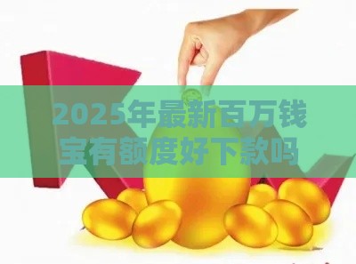 2025年最新百万钱宝有额度好下款吗：梳理5个2025热门网贷可靠的平台