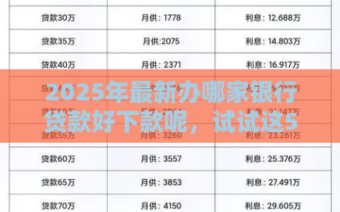 2025年最新办哪家银行贷款好下款呢，试试这5个贷款平台360