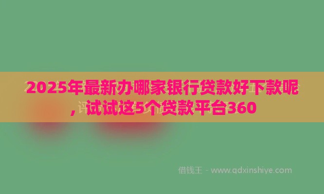 2025年最新办哪家银行贷款好下款呢，试试这5个贷款平台360