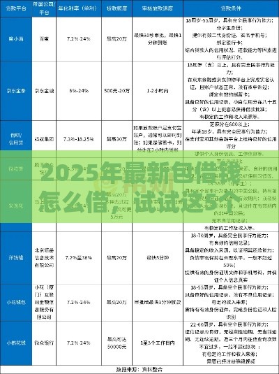 2025年最新包借钱怎么借，试试这5个贷款客户平台