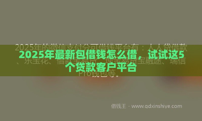 2025年最新包借钱怎么借，试试这5个贷款客户平台