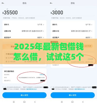 2025年最新包借钱怎么借，试试这5个贷款客户平台