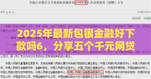 2025年最新包银金融好下款吗6，分享五个千元网贷口子必下的