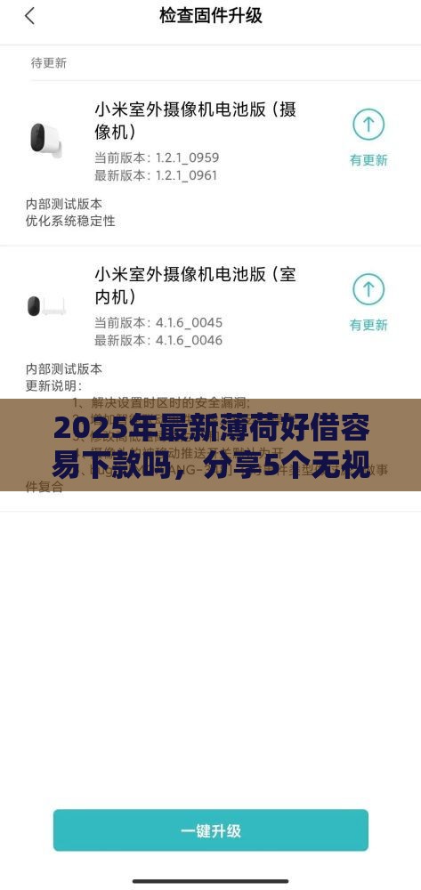 2025年最新薄荷好借容易下款吗，分享5个无视征信秒下款的口子
