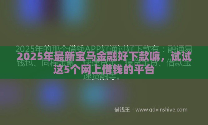 2025年最新宝马金融好下款嘛,试试这5个网上借钱的平台 2025年最新宝马金融好下款嘛,试试这5个网上借钱的平台