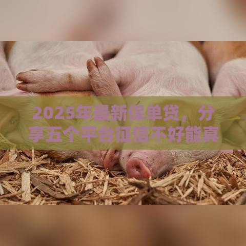 2025年最新保单贷,分享五个平台征信不好能真真正正借到钱 2025年最新保单贷,分享五个平台征信不好能真真正正借到钱