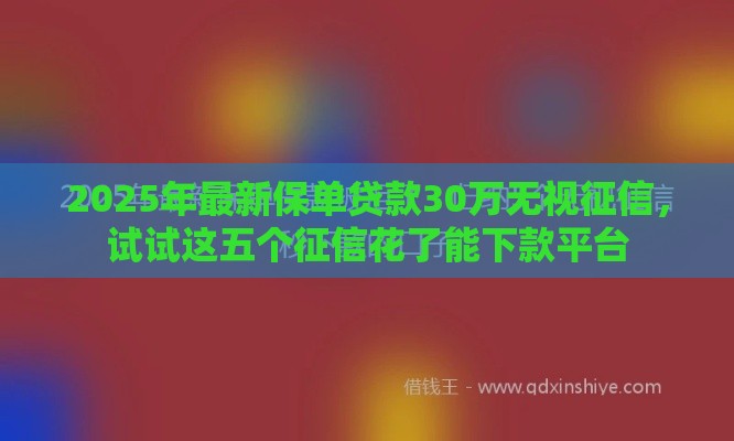 2025年最新保单贷款30万无视征信，试试这五个征信花了能下款平台