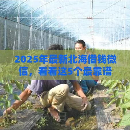 2025年最新北海借钱微信，看看这5个最靠谱的网贷平台