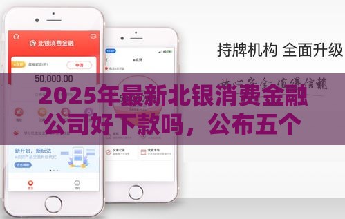 2025年最新北银消费金融公司好下款吗，公布五个极速贷款平台