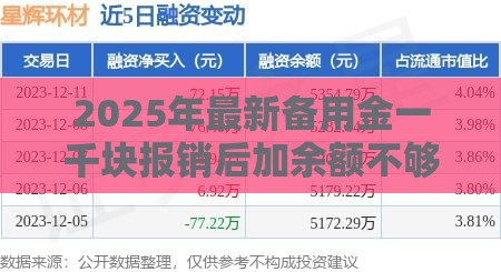 2025年最新备用金一千块报销后加余额不够怎么回事，推荐5个借款平台借钱不上征信