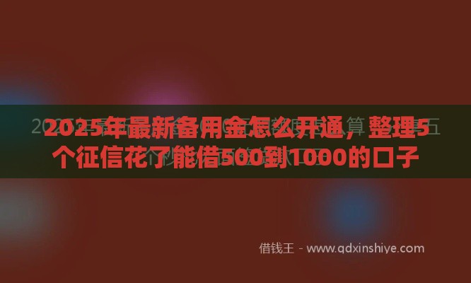 2025年最新备用金怎么开通，整理5个征信花了能借500到1000的口子