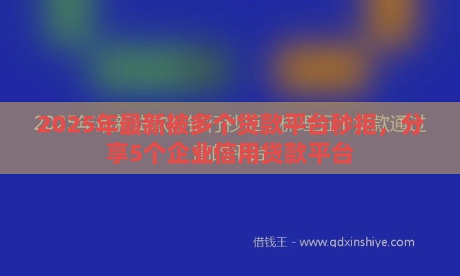 2025年最新被多个贷款平台秒拒，分享5个企业信用贷款平台