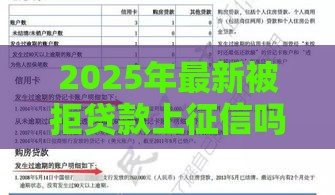 2025年最新被拒贷款上征信吗，整合5个比较好贷款的平台