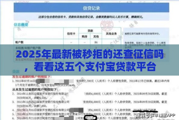 2025年最新被秒拒的还查征信吗，看看这五个支付宝贷款平台