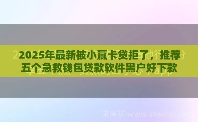 2025年最新被小赢卡贷拒了，推荐五个急救钱包贷款软件黑户好下款