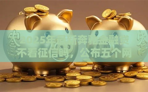 2025年最新奔驰金融贷不看征信吗，公布五个网贷大数据查询平台
