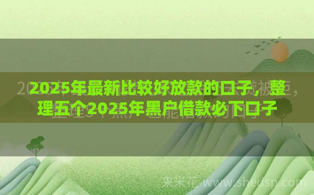 2025年最新比较好放款的口子，整理五个2025年黑户借款必下口子