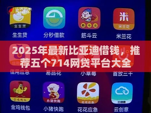 2025年最新比亚迪借钱，推荐五个714网贷平台大全