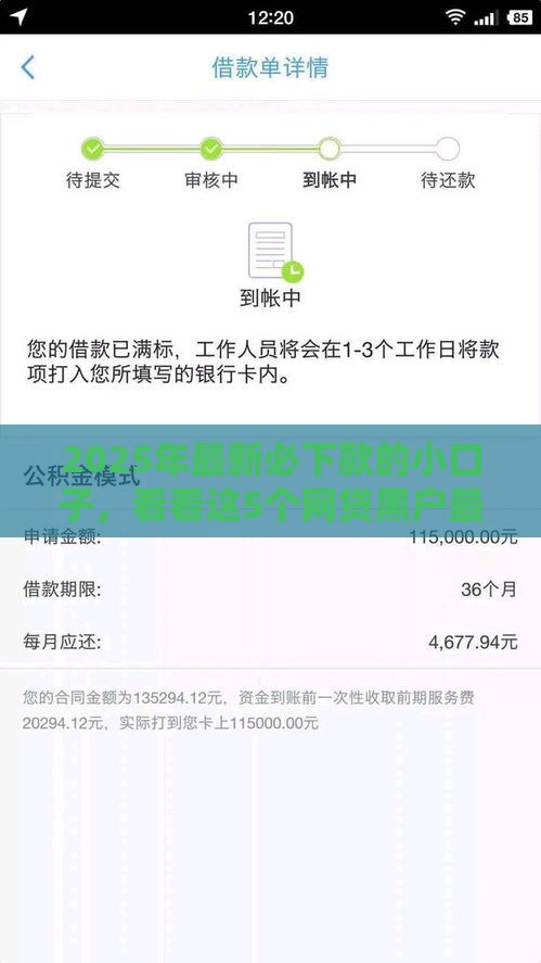 2025年最新必下款的小口子，看看这5个网贷黑户最容易最好下款的平台