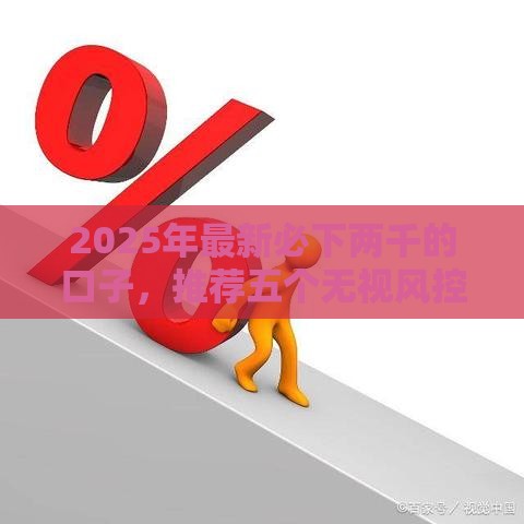 2025年最新必下两千的口子，推荐五个无视风控10000必下口子