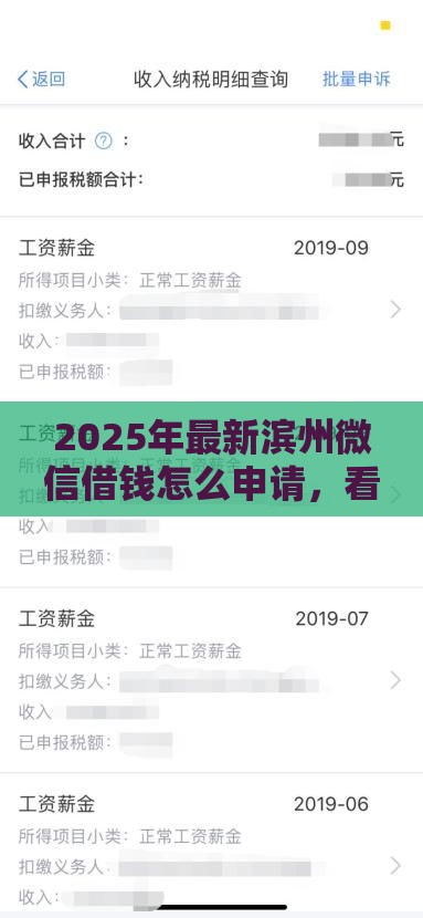 2025年最新滨州微信借钱怎么申请，看看这五个黑户有逾期也能必过的口子