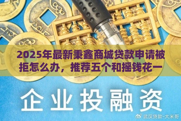 2025年最新秉鑫商城贷款申请被拒怎么办，推荐五个和摇钱花一样的平台