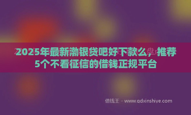 2025年最新渤银贷吧好下款么，推荐5个不看征信的借钱正规平台