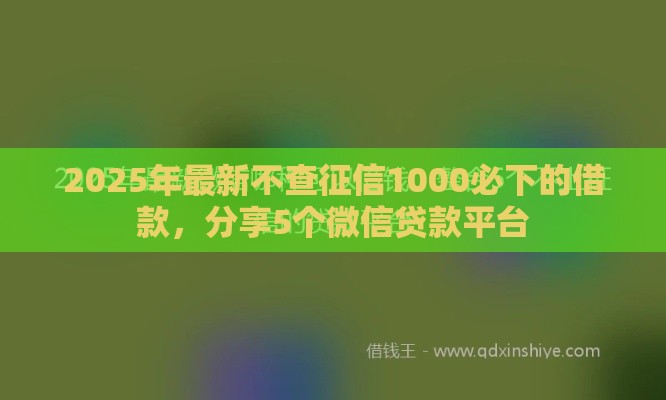 2025年最新不查征信1000必下的借款，分享5个微信贷款平台