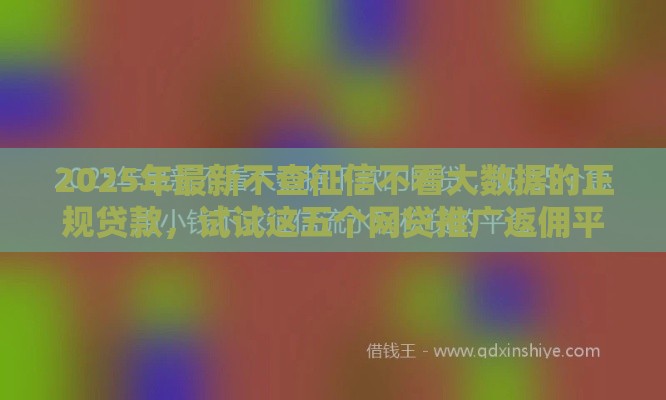 2025年最新不查征信不看大数据的正规贷款，试试这五个网贷推广返佣平台