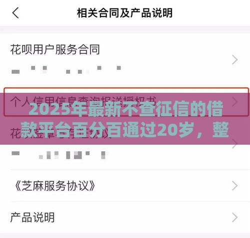 2025年最新不查征信的借款平台百分百通过20岁，整合5个借钱的正规平台