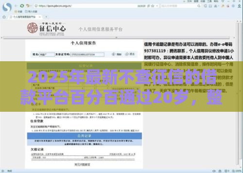 2025年最新不查征信的借款平台百分百通过20岁，整合5个借钱的正规平台