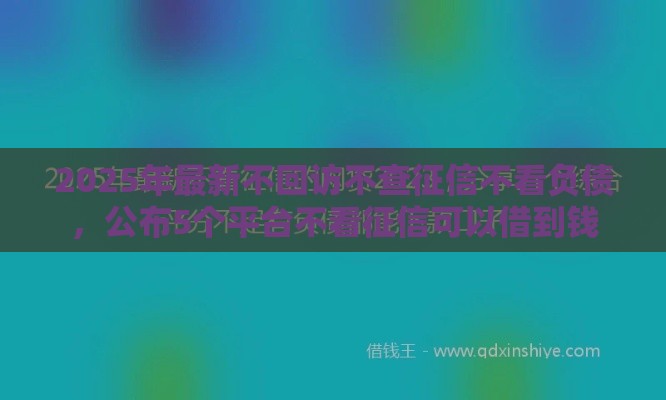 2025年最新不回访不查征信不看负债，公布5个平台不看征信可以借到钱