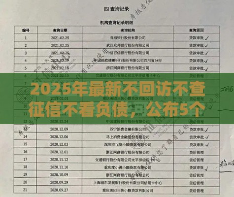 2025年最新不回访不查征信不看负债，公布5个平台不看征信可以借到钱