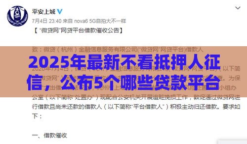 2025年最新不看抵押人征信，公布5个哪些贷款平台不看征信