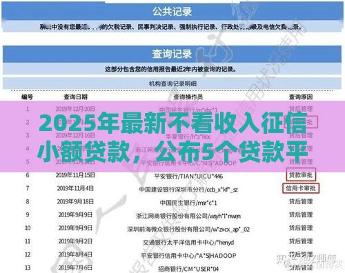 2025年最新不看收入征信小额贷款，公布5个贷款平台不看征信不看逾期