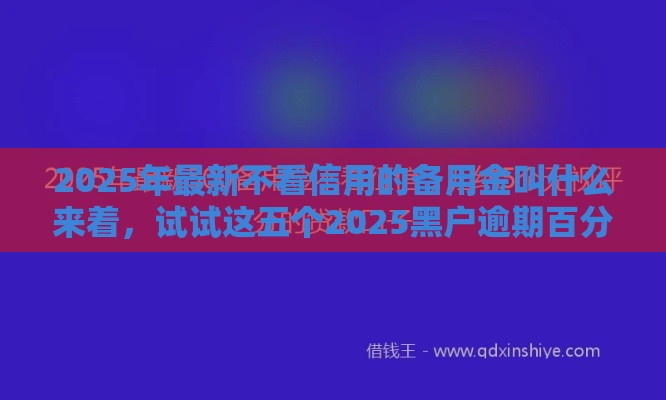 2025年最新不看信用的备用金叫什么来着，试试这五个2025黑户逾期百分百能下款的口子