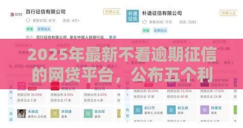 2025年最新不看逾期征信的网贷平台，公布五个利息最低的贷款平台