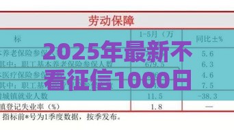 2025年最新不看征信1000日还，梳理5个征信黑户到平台可以借到钱