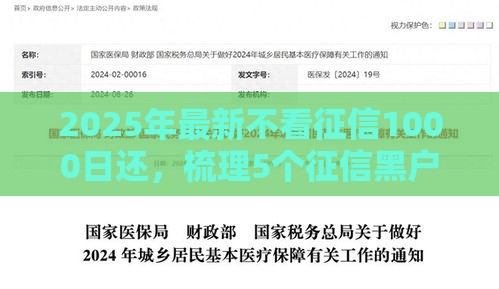 2025年最新不看征信1000日还，梳理5个征信黑户到平台可以借到钱