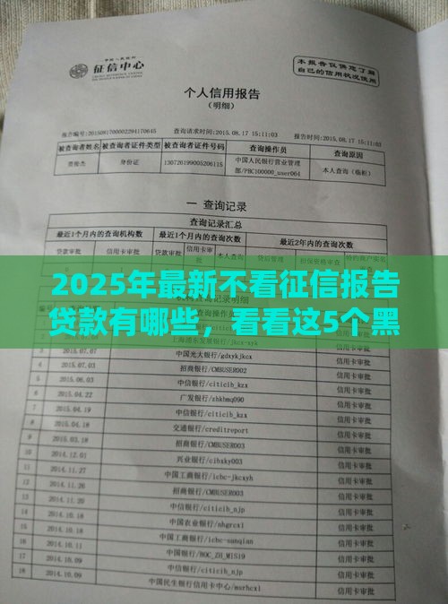 2025年最新不看征信报告贷款有哪些，看看这5个黑户放贷的口子