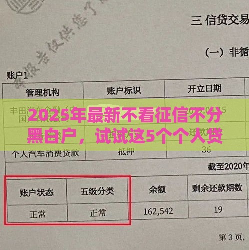 2025年最新不看征信不分黑白户，试试这5个个人贷款平台