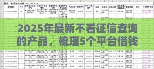 2025年最新不看征信查询的产品,梳理5个平台借钱快速安全容易通过 2025年最新不看征信查询的产品,梳理5个平台借钱快速安全容易通过
