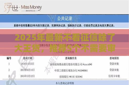 2025年最新不看征信除了大王贷，推荐5个不需要审核的贷款平台